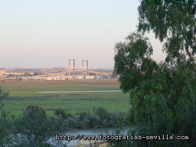 Foto: puente del V Centenario